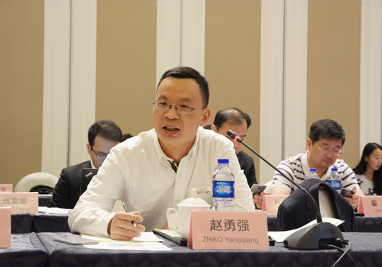 趙勇強 國家發(fā)改委能源研究所研究員.jpg