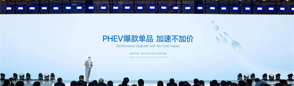獨家｜對話楊紅新：蜂巢能源2024年如何“破卷”？