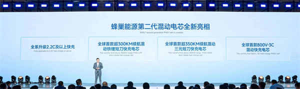 獨家｜對話楊紅新：蜂巢能源2024年如何“破卷”？